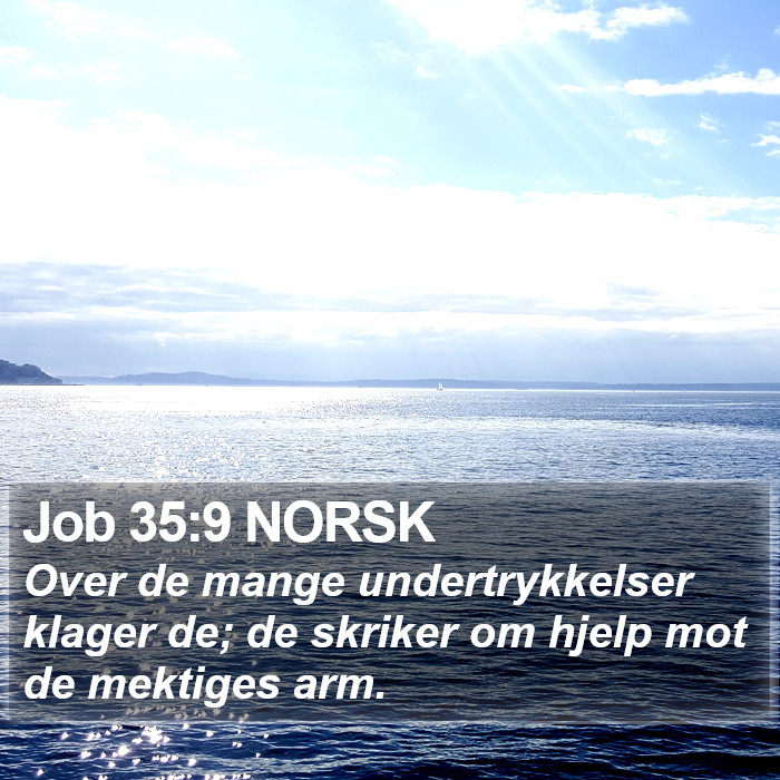 Job 35:9 NORSK Bible Study