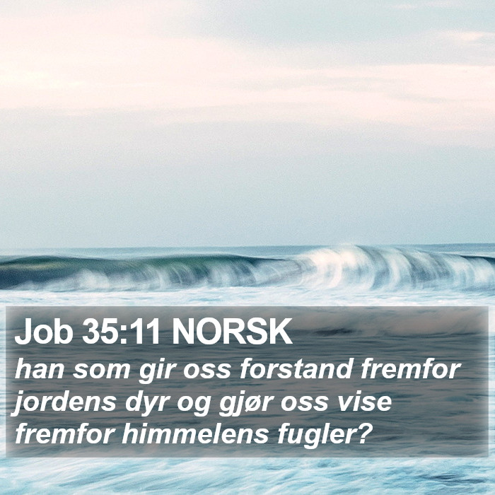 Job 35:11 NORSK Bible Study