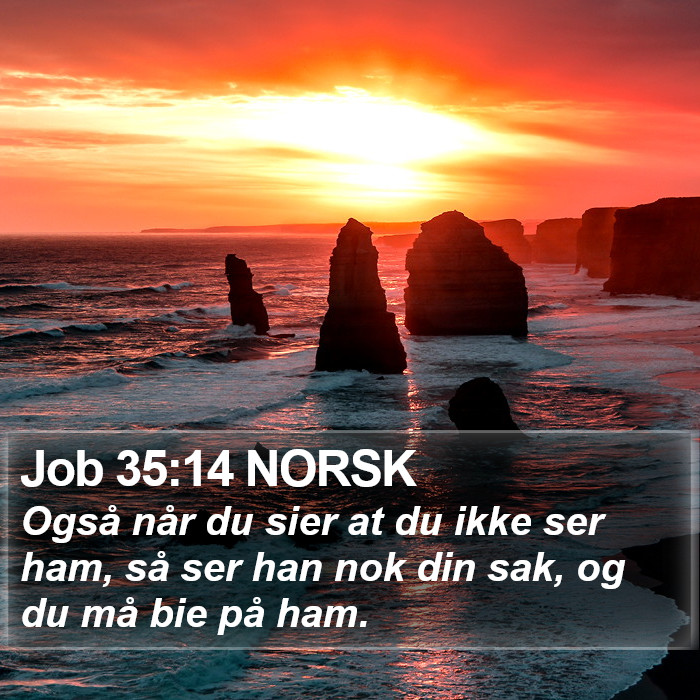 Job 35:14 NORSK Bible Study