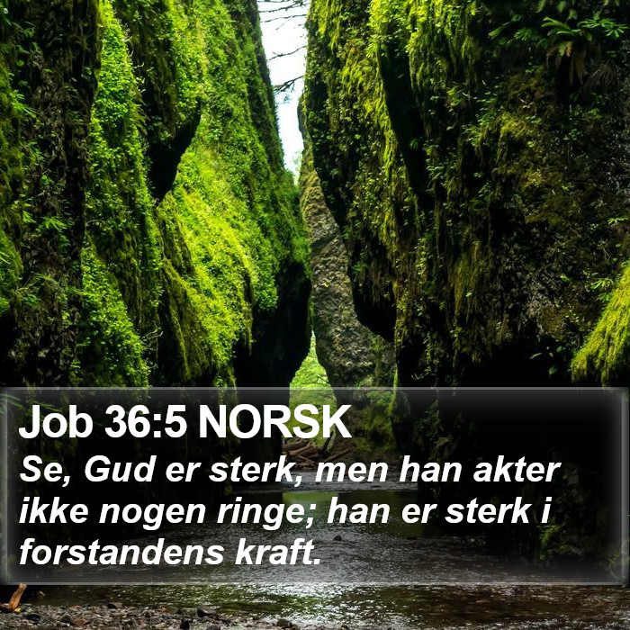 Job 36:5 NORSK Bible Study