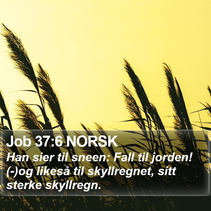Job 37:6 NORSK Bible Study