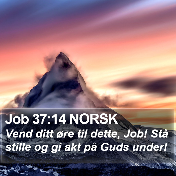 Job 37:14 NORSK Bible Study