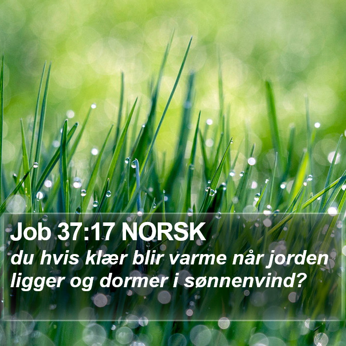 Job 37:17 NORSK Bible Study