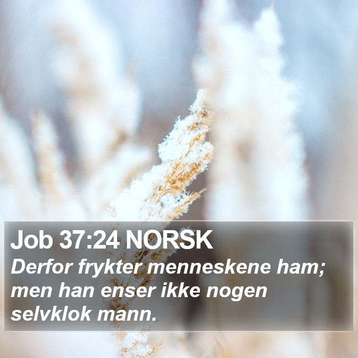 Job 37:24 NORSK Bible Study