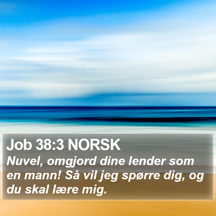 Job 38:3 NORSK Bible Study