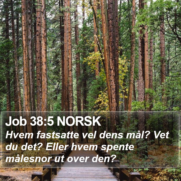 Job 38:5 NORSK Bible Study