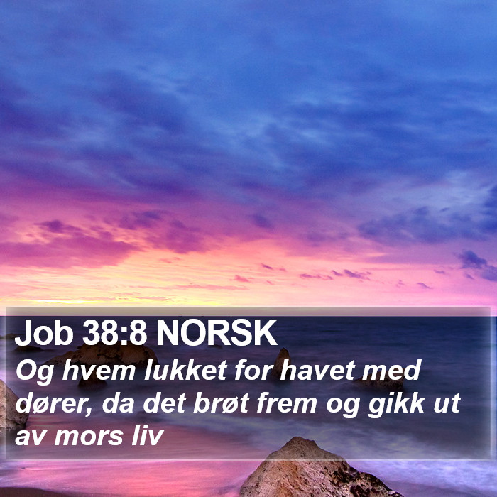 Job 38:8 NORSK Bible Study