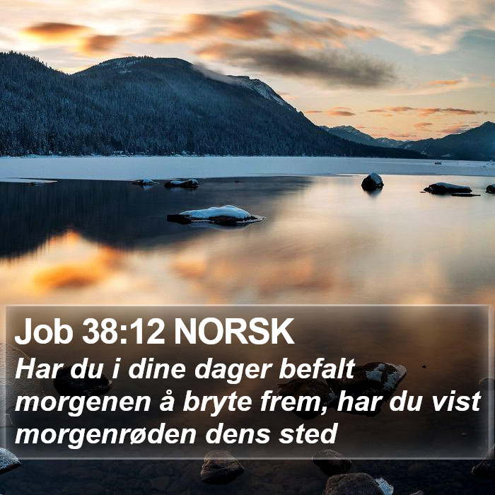 Job 38:12 NORSK Bible Study