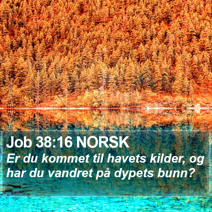 Job 38:16 NORSK Bible Study