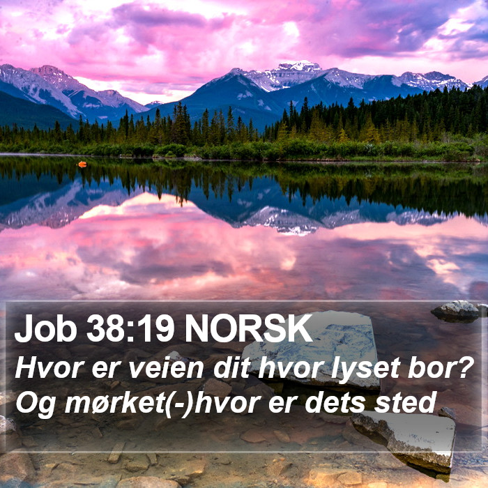 Job 38:19 NORSK Bible Study