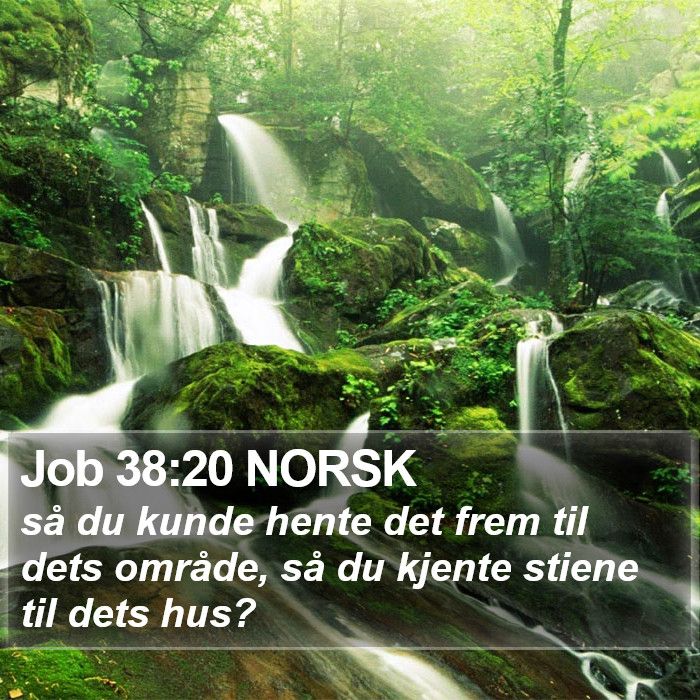 Job 38:20 NORSK Bible Study