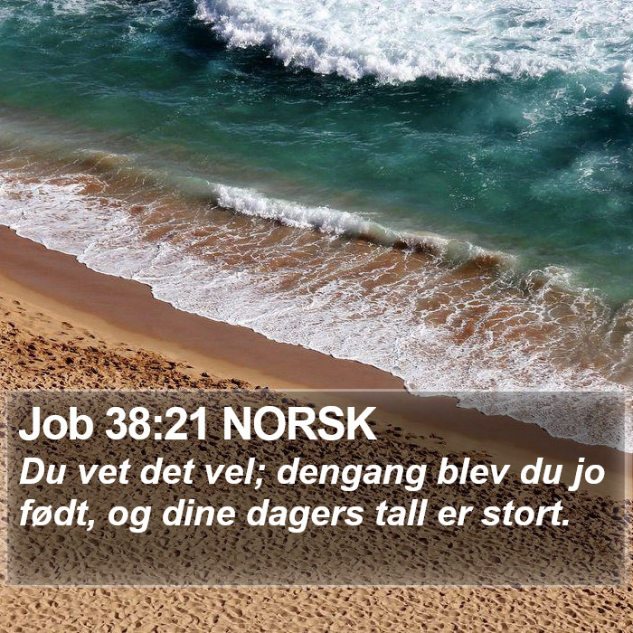 Job 38:21 NORSK Bible Study