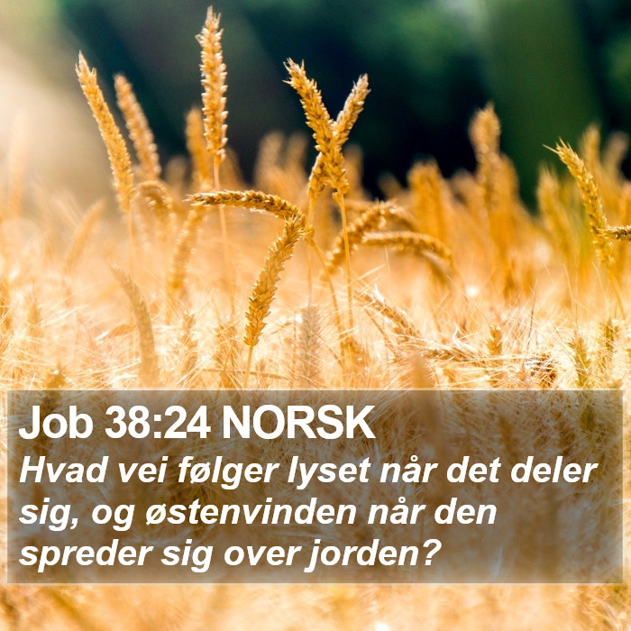 Job 38:24 NORSK Bible Study