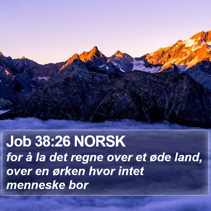 Job 38:26 NORSK Bible Study