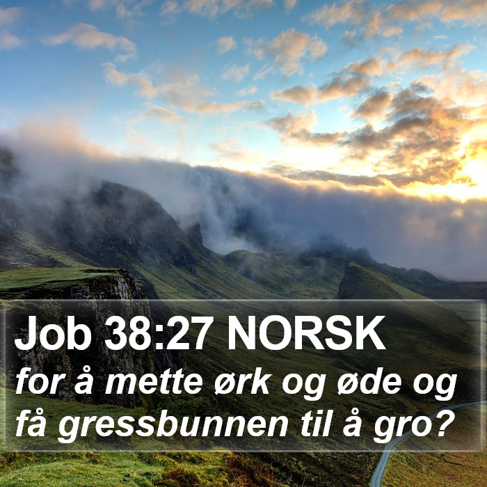 Job 38:27 NORSK Bible Study