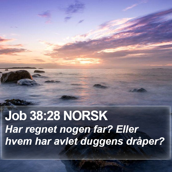 Job 38:28 NORSK Bible Study