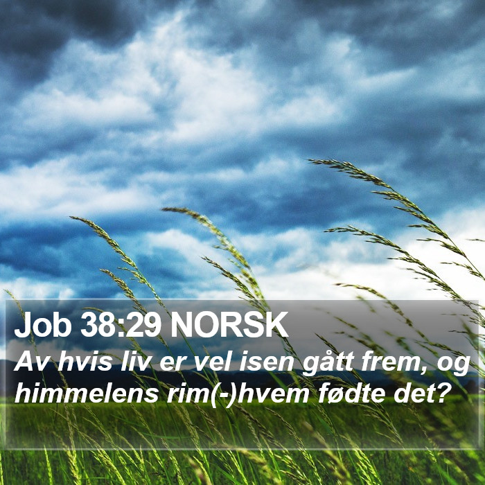 Job 38:29 NORSK Bible Study