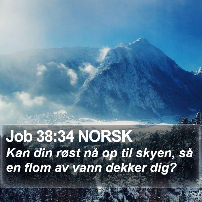 Job 38:34 NORSK Bible Study