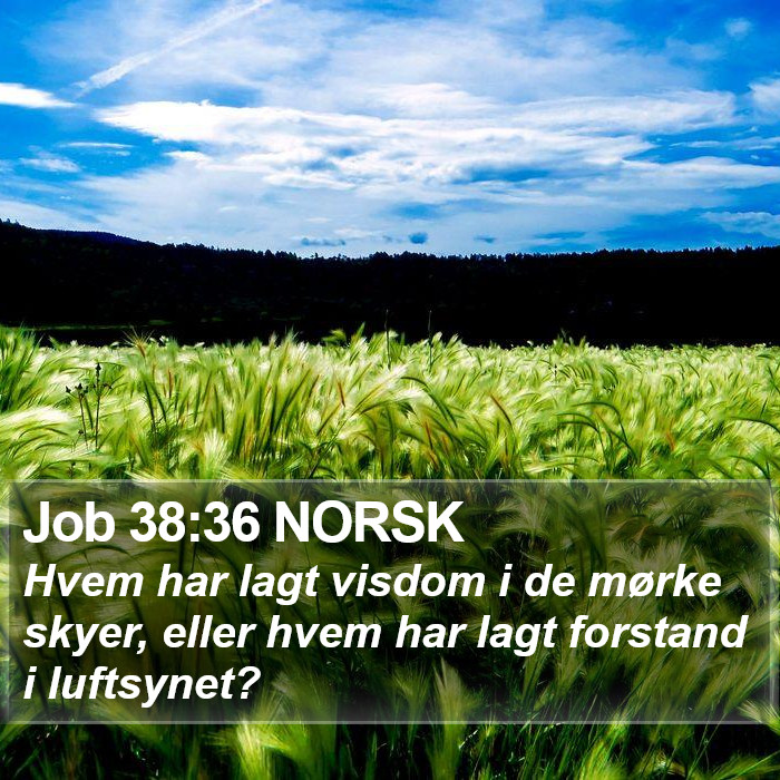 Job 38:36 NORSK Bible Study