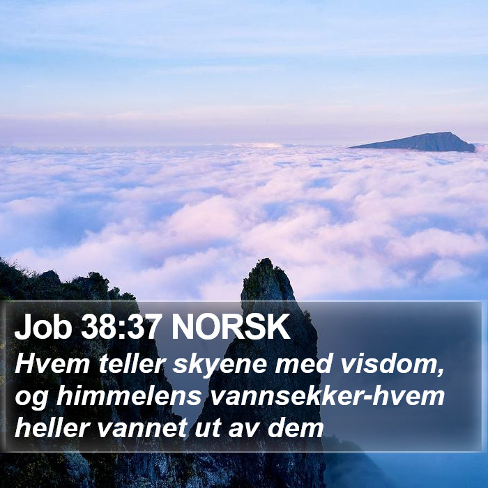 Job 38:37 NORSK Bible Study