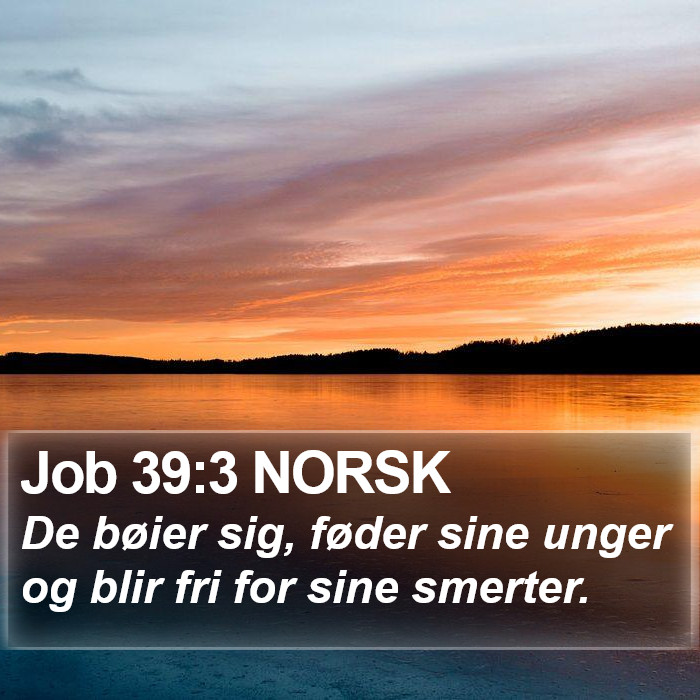 Job 39:3 NORSK Bible Study