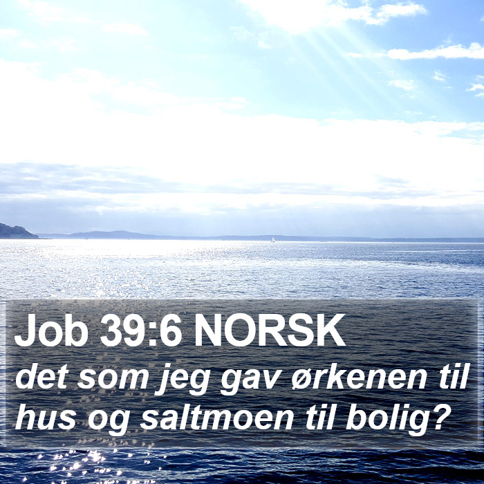 Job 39:6 NORSK Bible Study