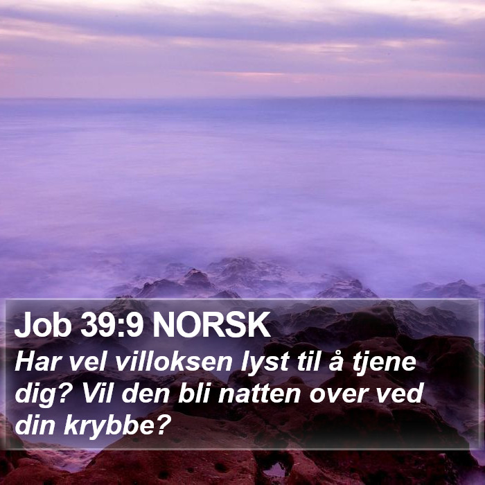Job 39:9 NORSK Bible Study