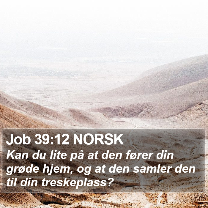 Job 39:12 NORSK Bible Study
