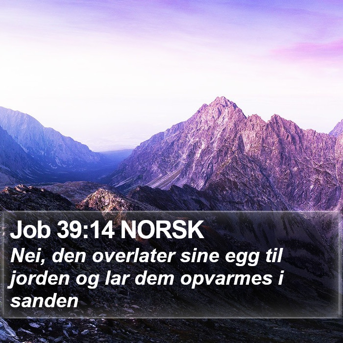 Job 39:14 NORSK Bible Study