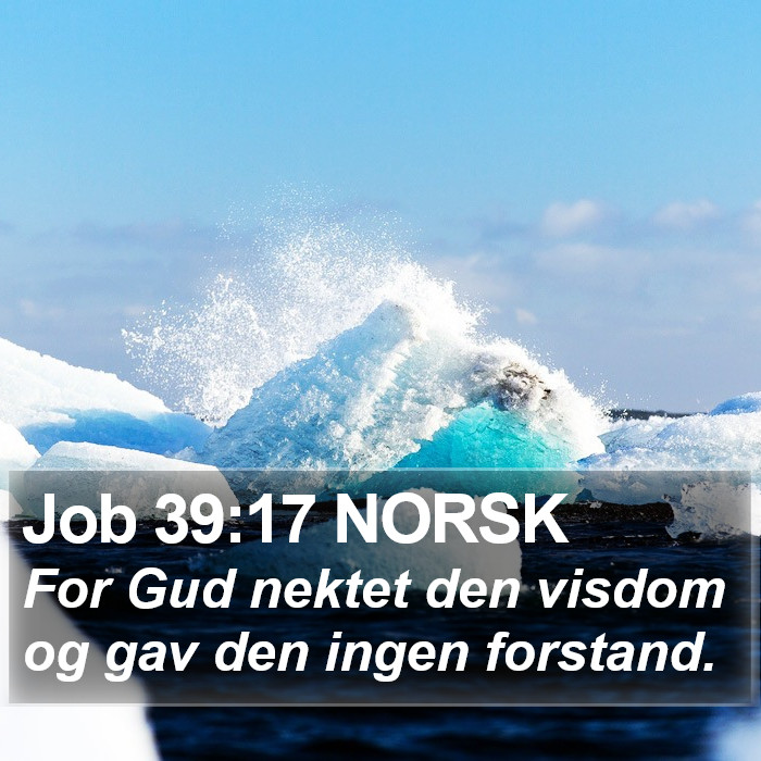 Job 39:17 NORSK Bible Study