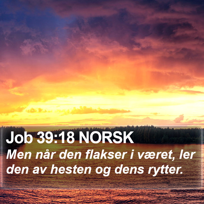 Job 39:18 NORSK Bible Study