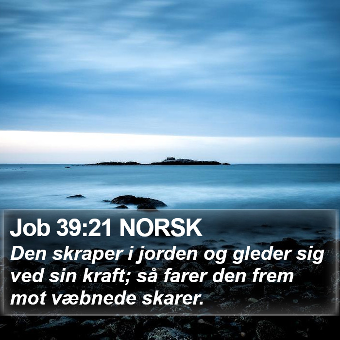 Job 39:21 NORSK Bible Study