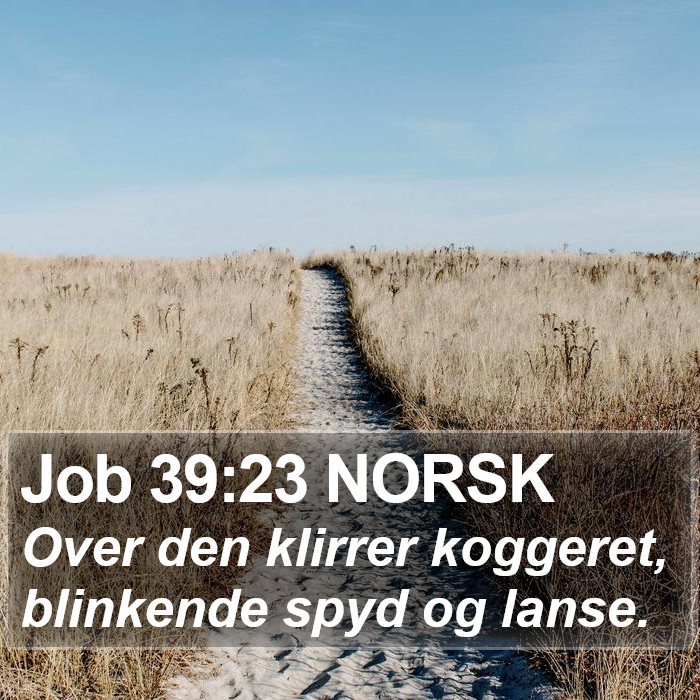 Job 39:23 NORSK Bible Study