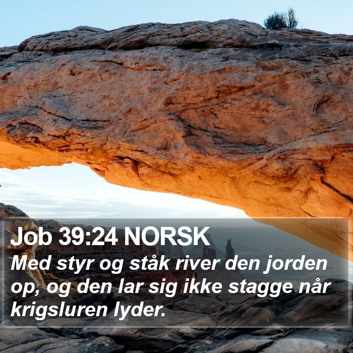 Job 39:24 NORSK Bible Study