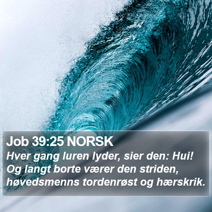 Job 39:25 NORSK Bible Study