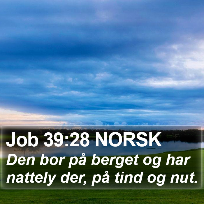 Job 39:28 NORSK Bible Study