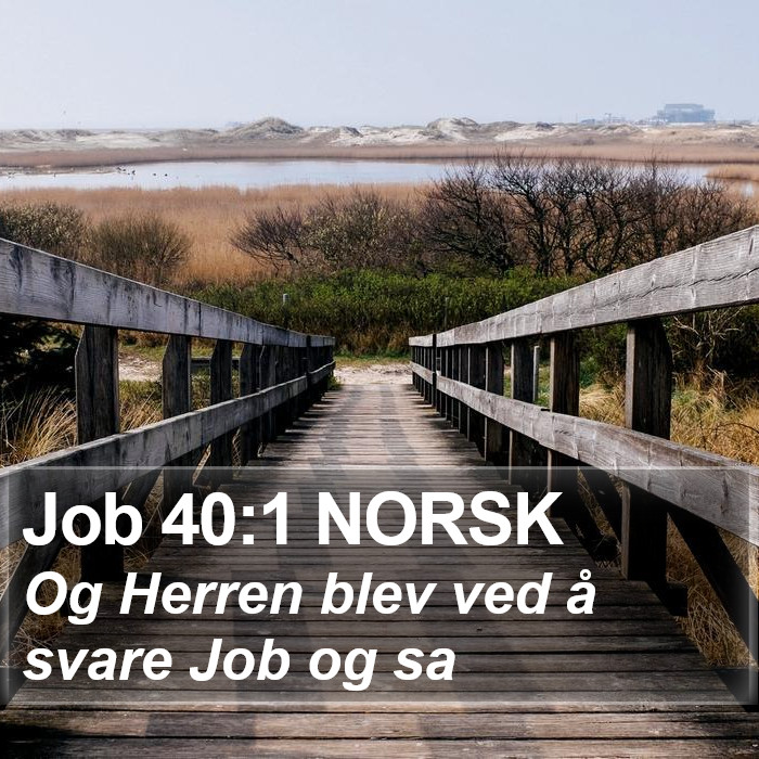 Job 40:1 NORSK Bible Study