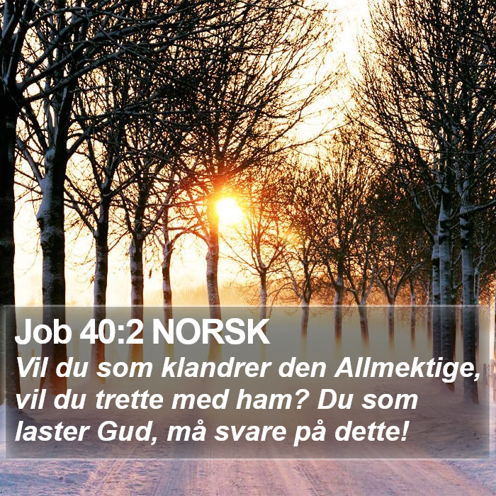 Job 40:2 NORSK Bible Study