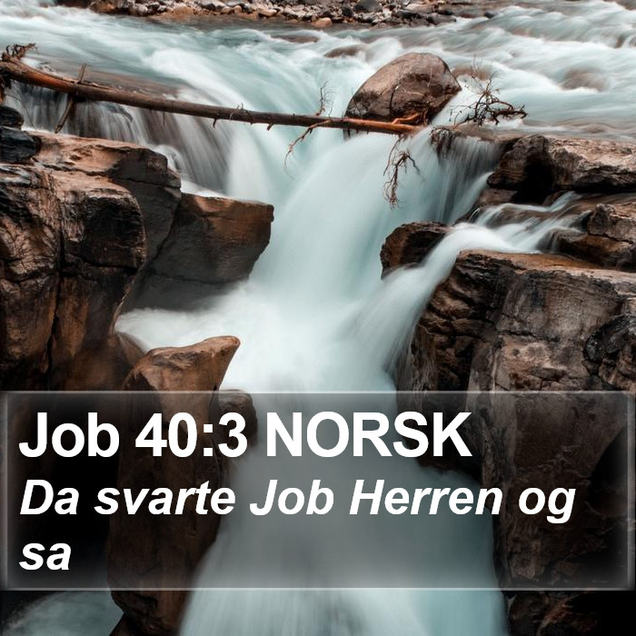 Job 40:3 NORSK Bible Study