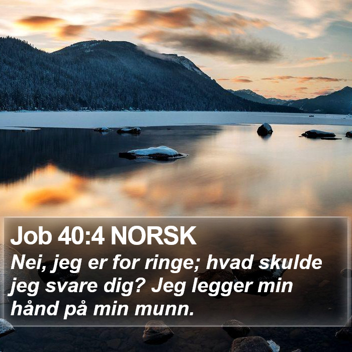 Job 40:4 NORSK Bible Study