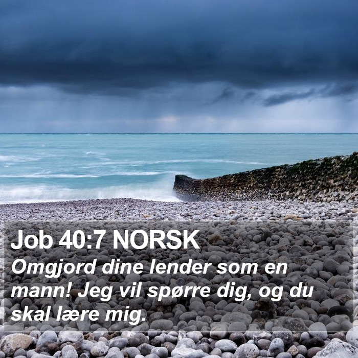 Job 40:7 NORSK Bible Study