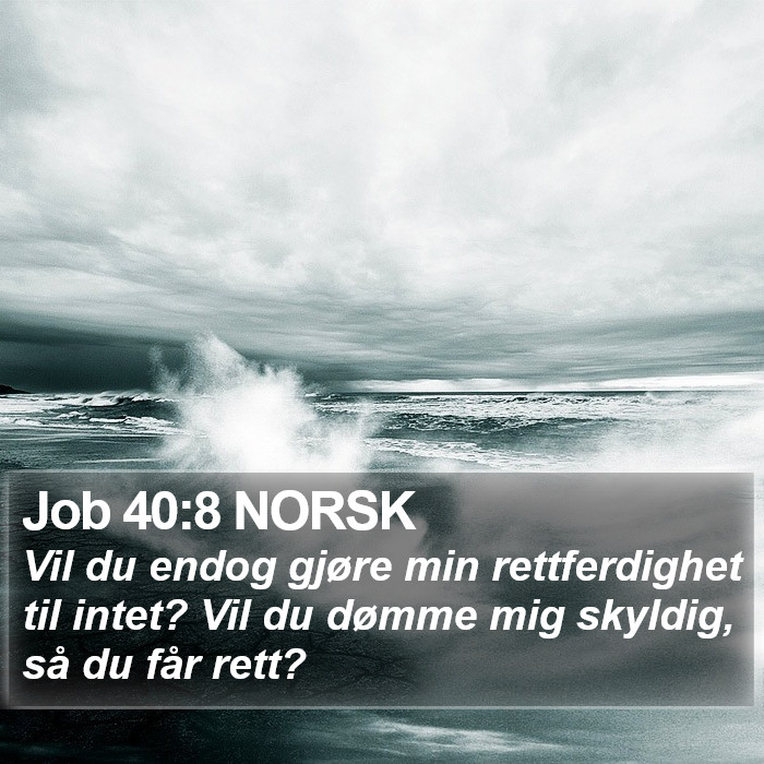 Job 40:8 NORSK Bible Study