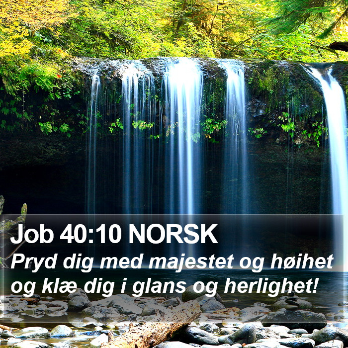 Job 40:10 NORSK Bible Study