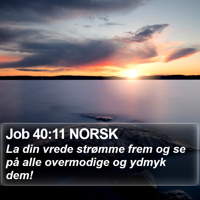 Job 40:11 NORSK Bible Study