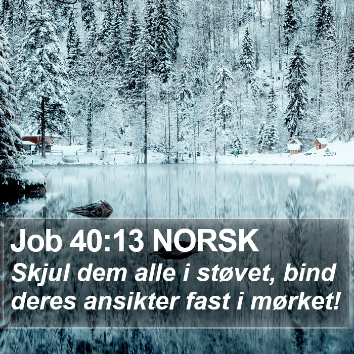 Job 40:13 NORSK Bible Study