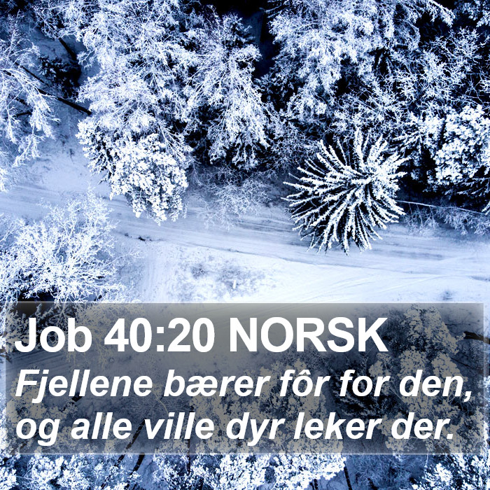 Job 40:20 NORSK Bible Study