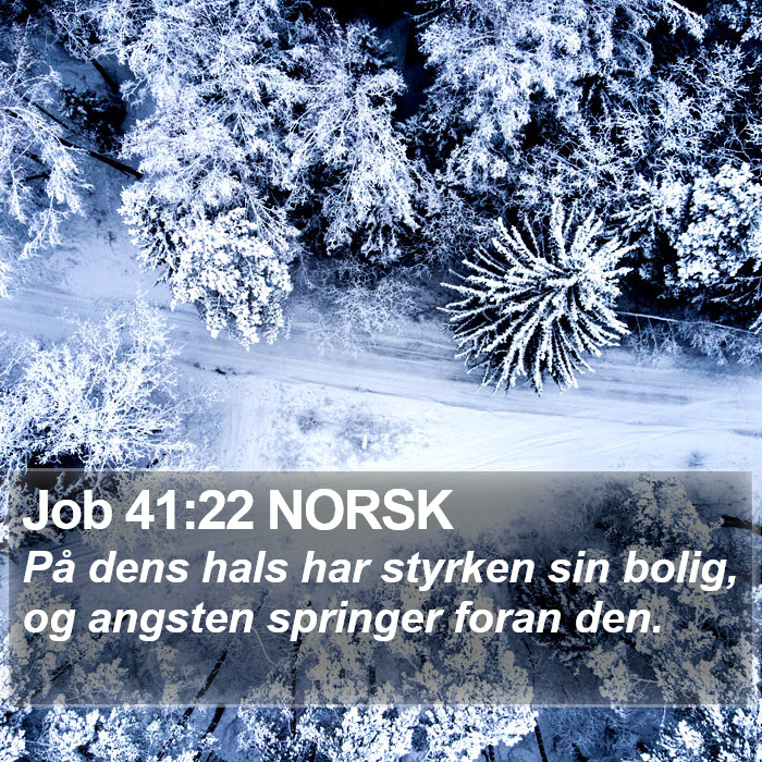 Job 41:22 NORSK Bible Study