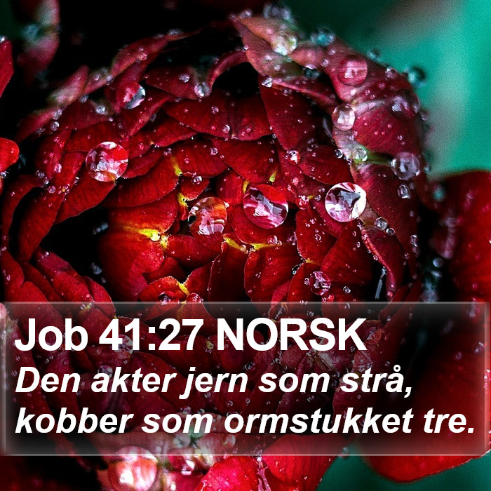 Job 41:27 NORSK Bible Study