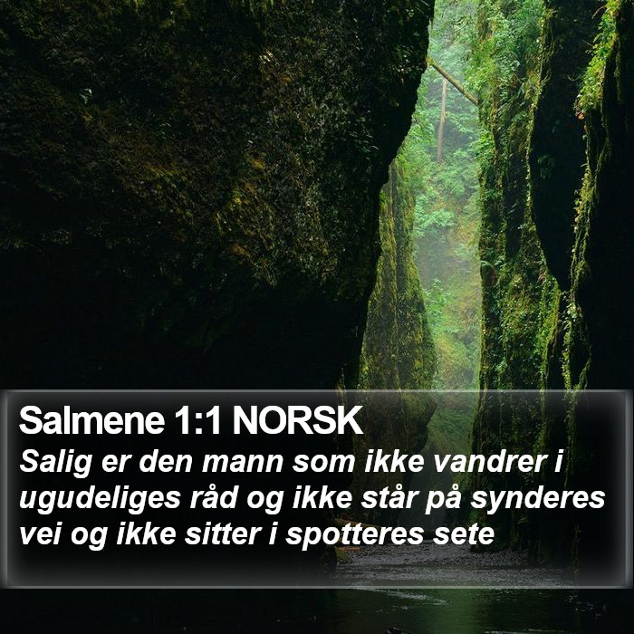 Salmene 1:1 NORSK Bible Study