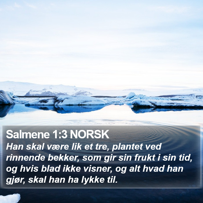 Salmene 1:3 NORSK Bible Study